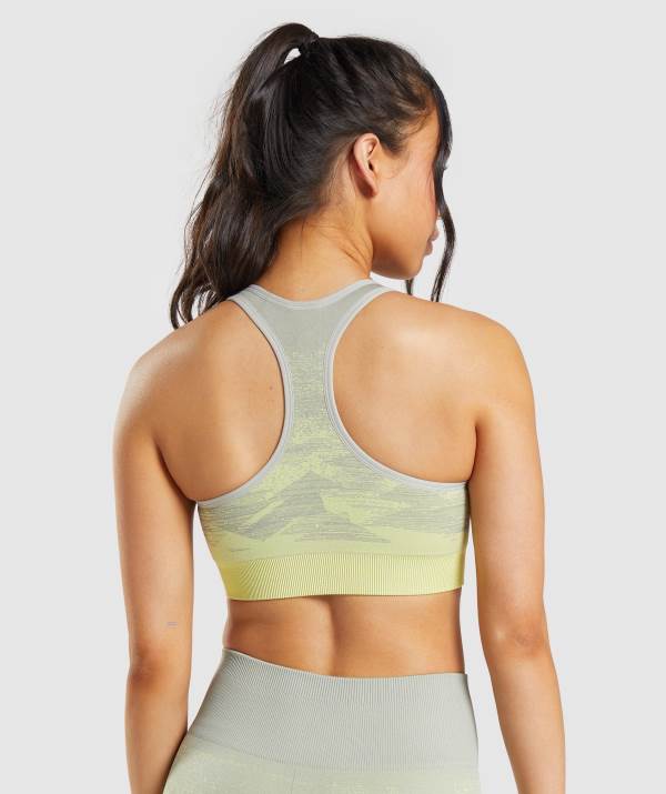 Damske Športové Podprsenky Gymshark Adapt Ombre Seamless Siva | AU5703629
